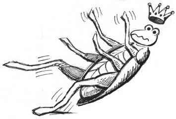 Pen drawing of a falling cockroach king with his crown falling off. 